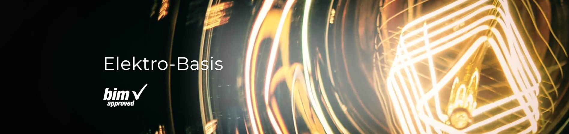 elektro-p